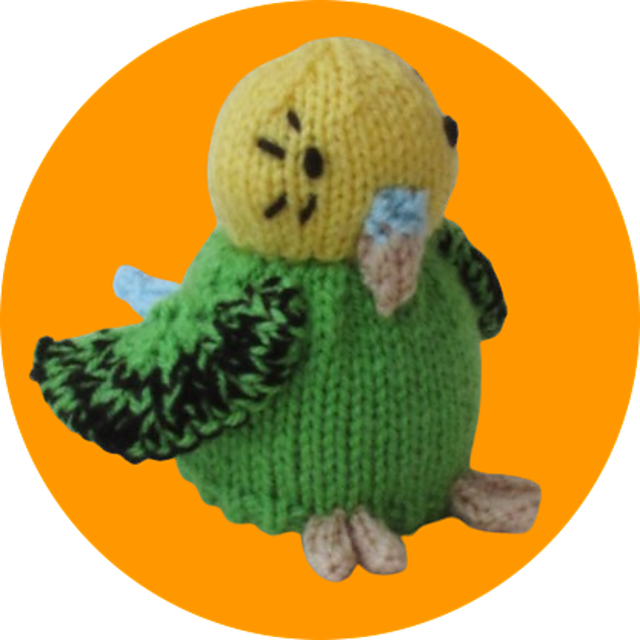 February Budgie Chocolate Orange Cosy