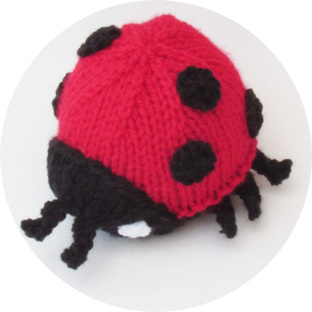 July Ladybird Chocolate Orange Cosy