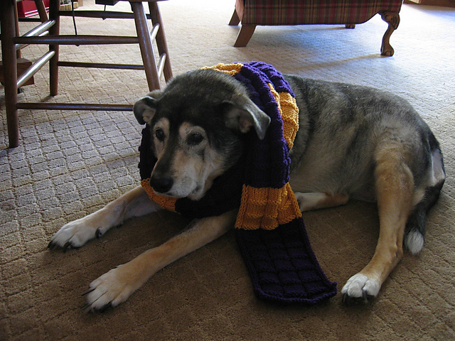 Sports Fan Scarf: Building Block