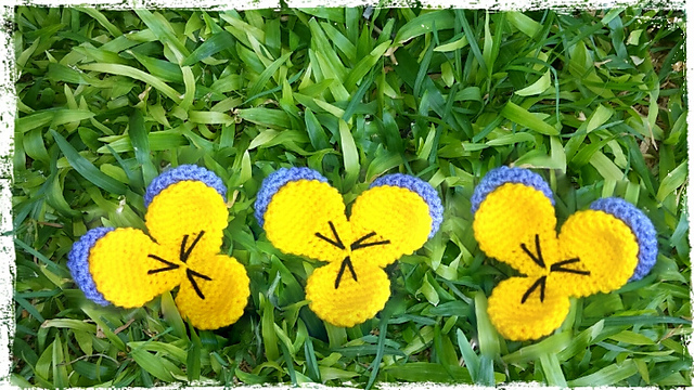 violet flower. flor