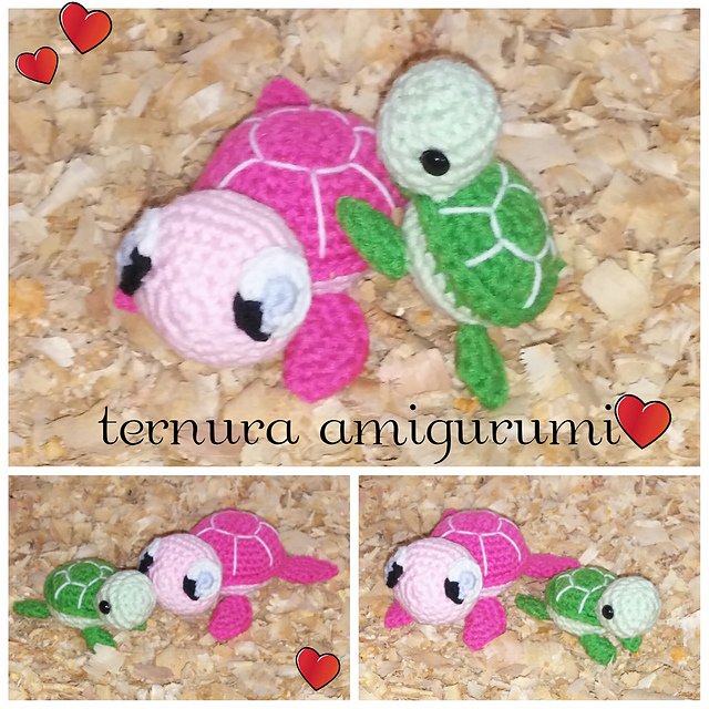 family turtle