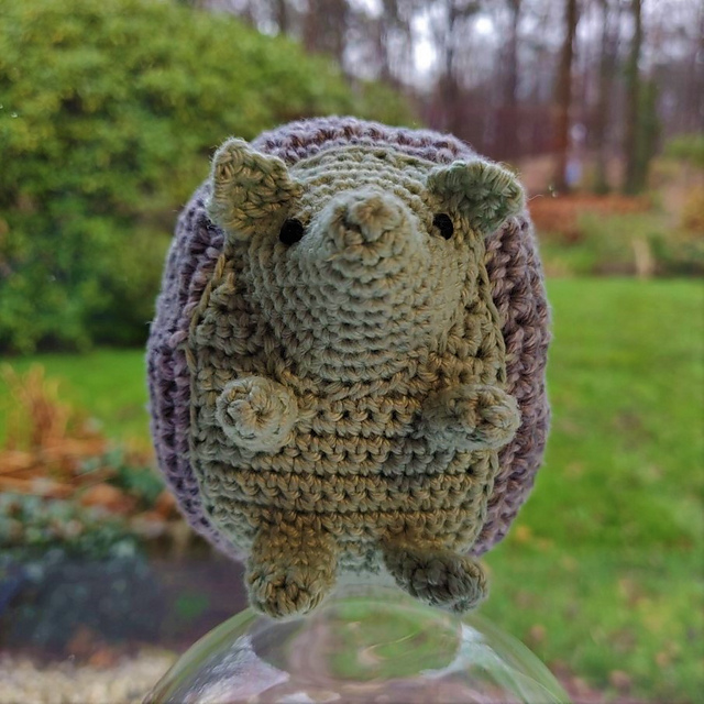 Egel / Hedgehog