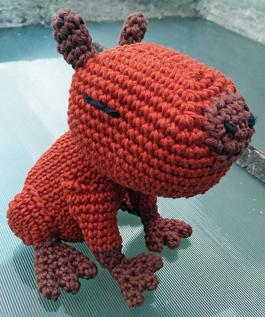 Capybara