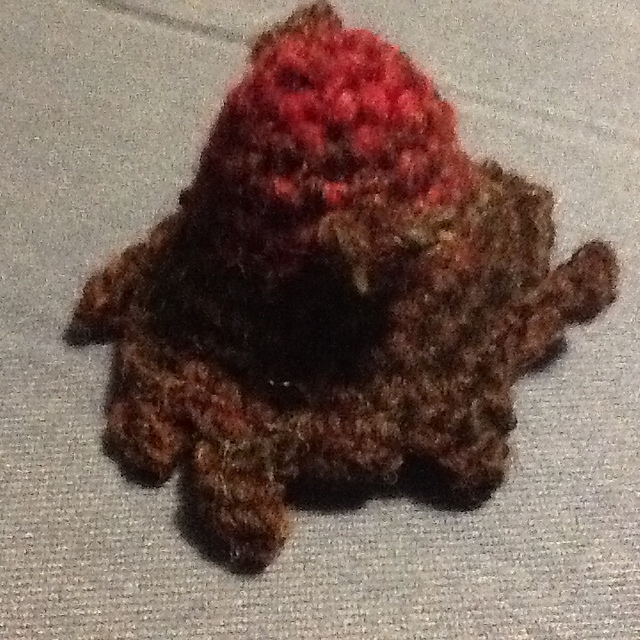Dumbo Octopus