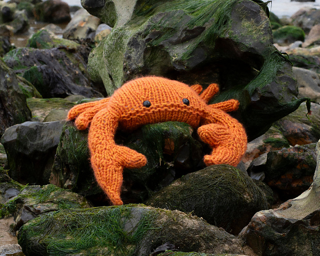 Cromer Crab