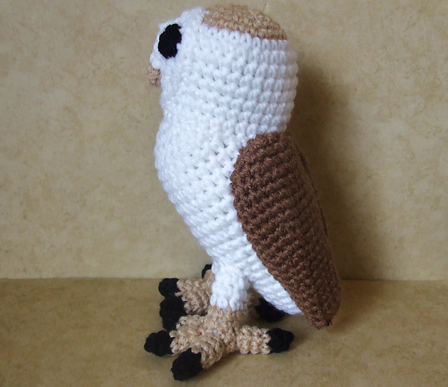 Barn Owl