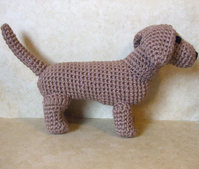 Dachshund