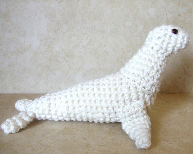 New Zealand Sea Lion