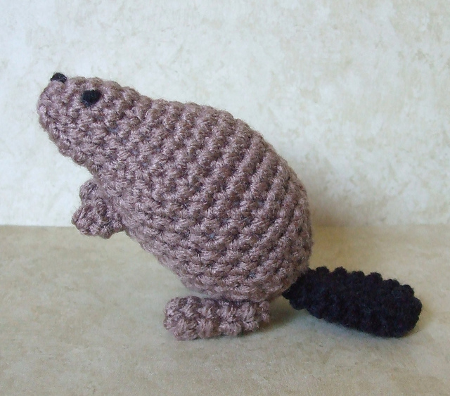 North American Beaver