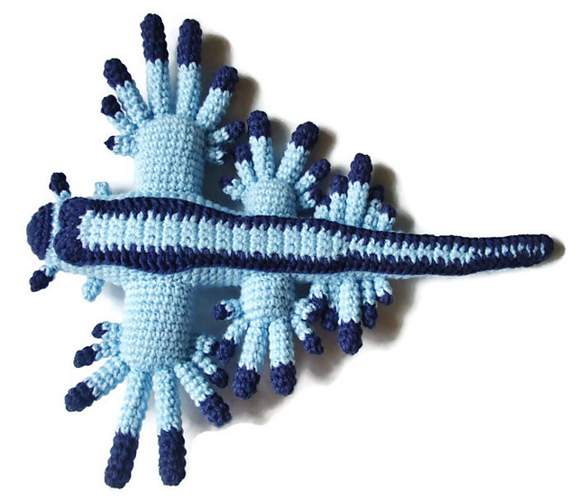 Ravelry: Glaucus Atlanticus Nudibranch pattern by Joy Koestner