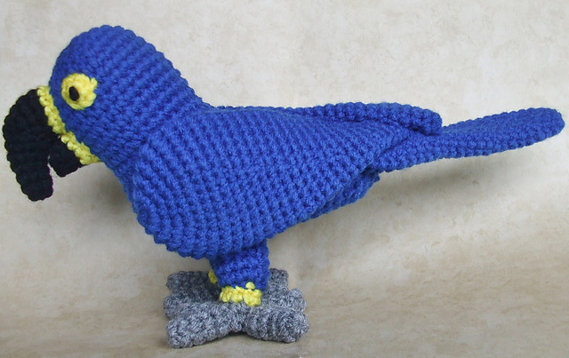 Hyacinth Macaw