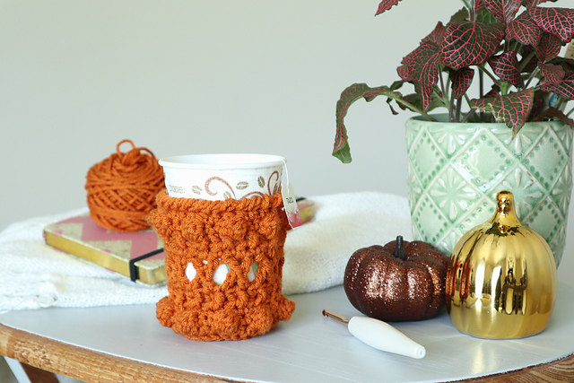 Fall Spice Cozy