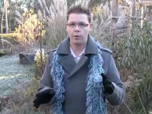 Shag Scarf