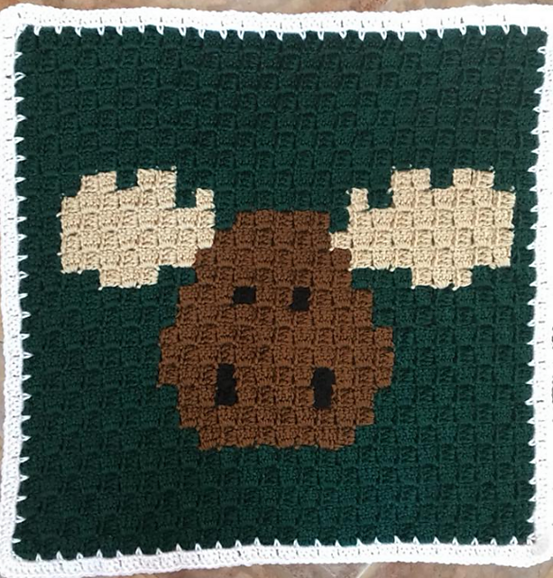 C2C Moose Square