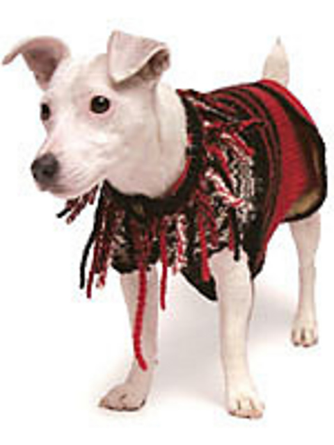 Rasta Dog Jacket
