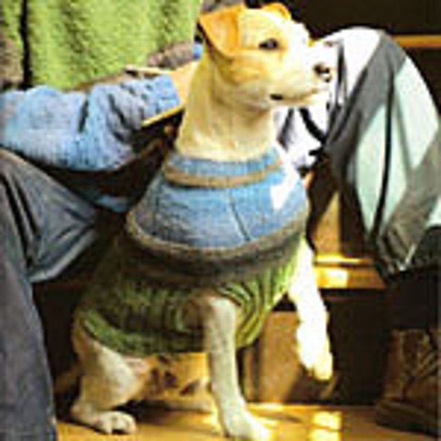 Doggie's Soy Silk Sweater