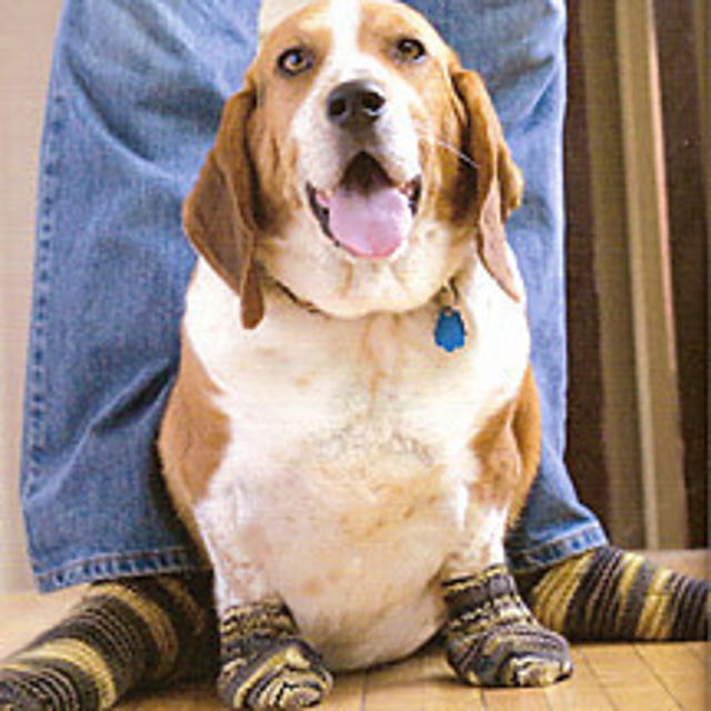 Superwash Mutt-Luks