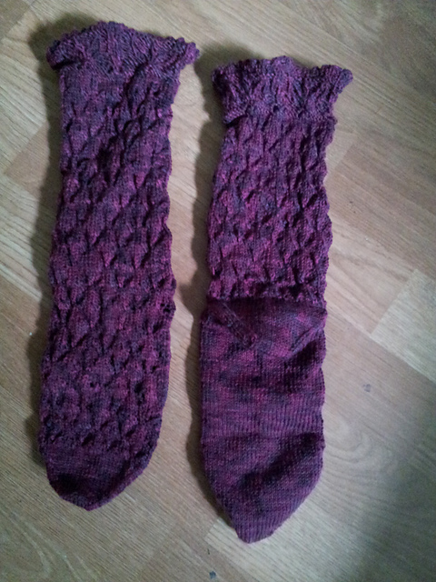 Summer Blooms Socks