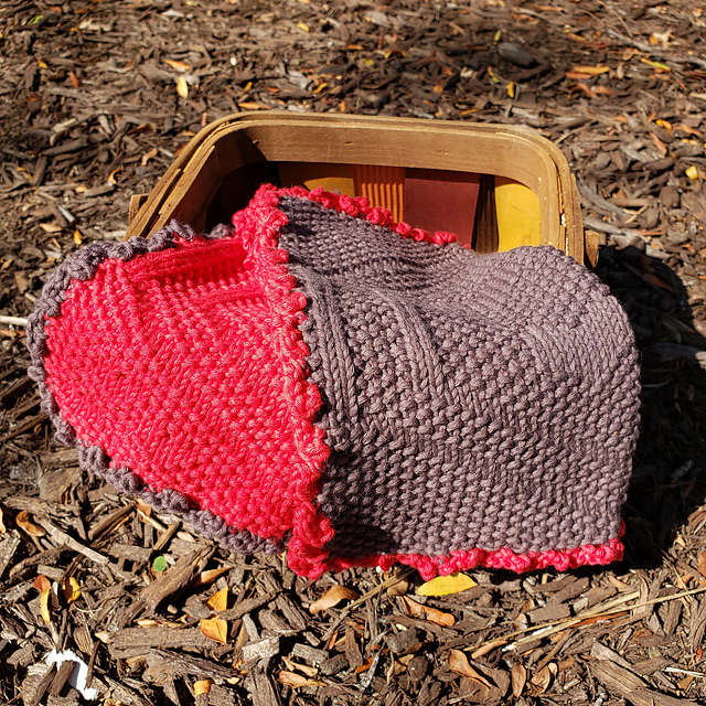 Sisters Washcloths