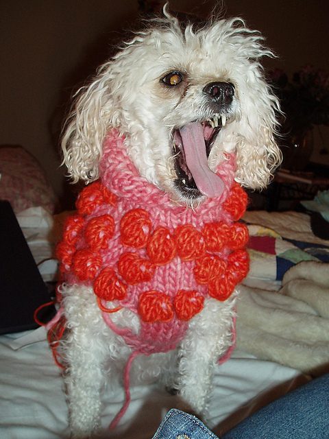 Popcorn Matinee Sweater