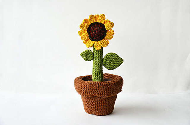 Sunflower in Pot