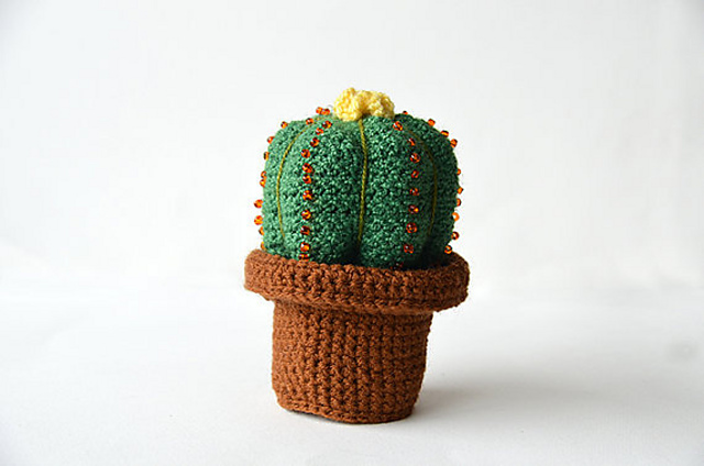 Small Cactus