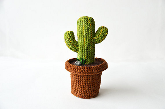 Desert Cactus
