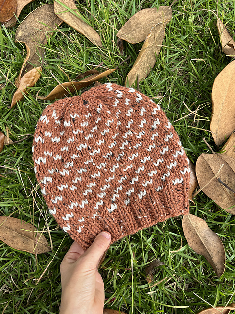 Dart Beanie