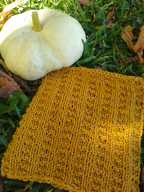 Genesis Dishcloth