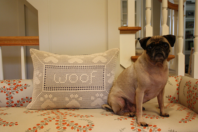 Paw Print Pillow