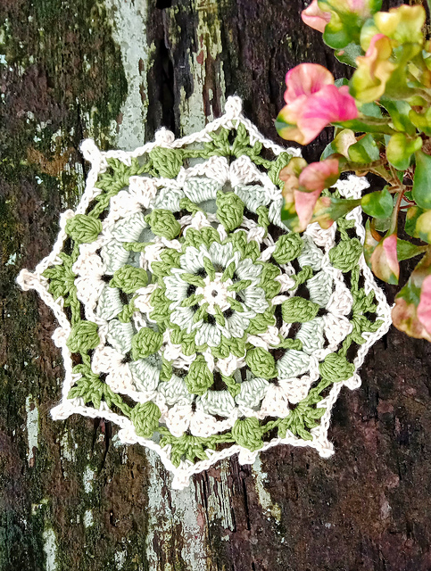 Niscala Doily