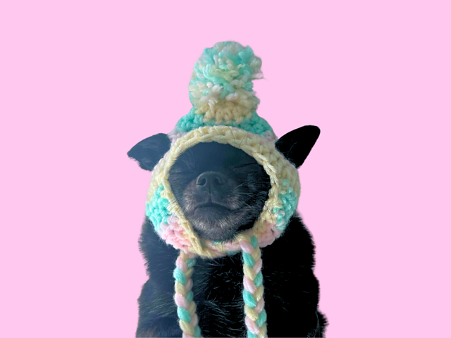Small Dog Pompom Hat