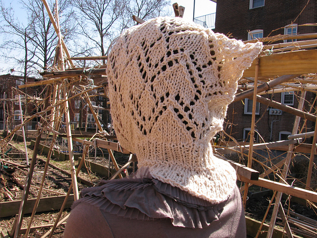 Chevron Lace Hood