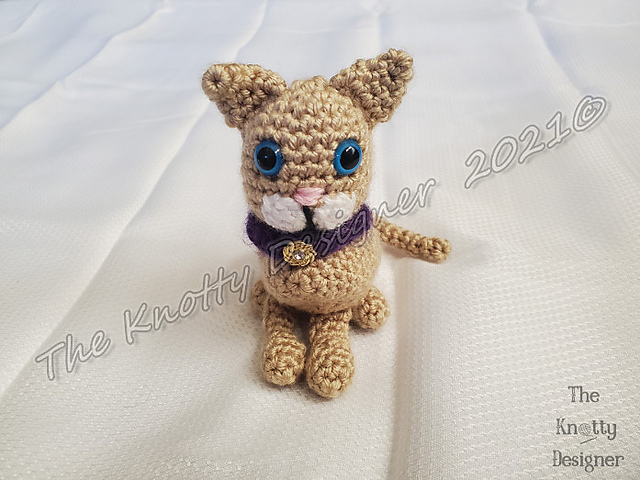 Butterscotch the Cat