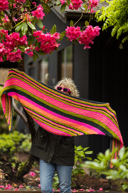 Stripes A Plenty Shawl