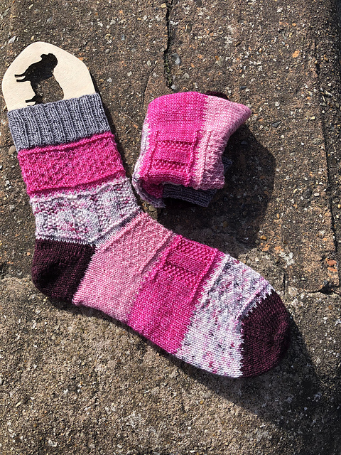 Champion Socks