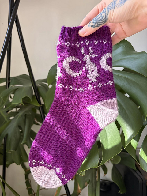 The Jackalope Socks