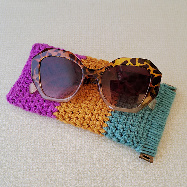 Sunglasses Case