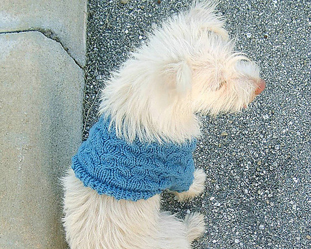 Cables & Bits Dog Sweater