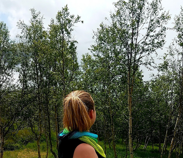 Color Shift Cowl