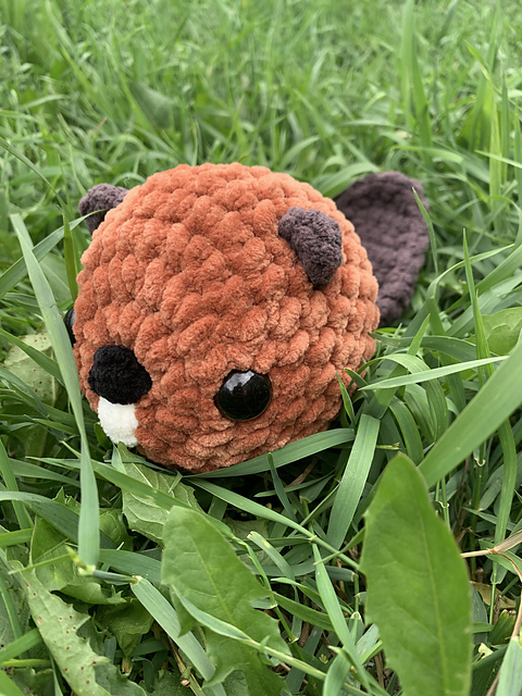 Bubble Beaver
