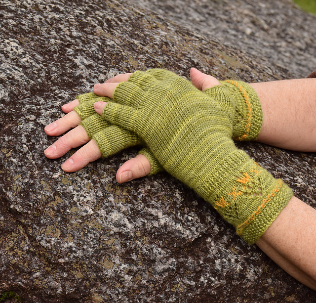 Daylily Morning Gloves