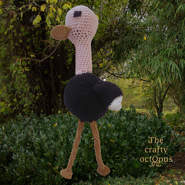 Olga the Ostrich