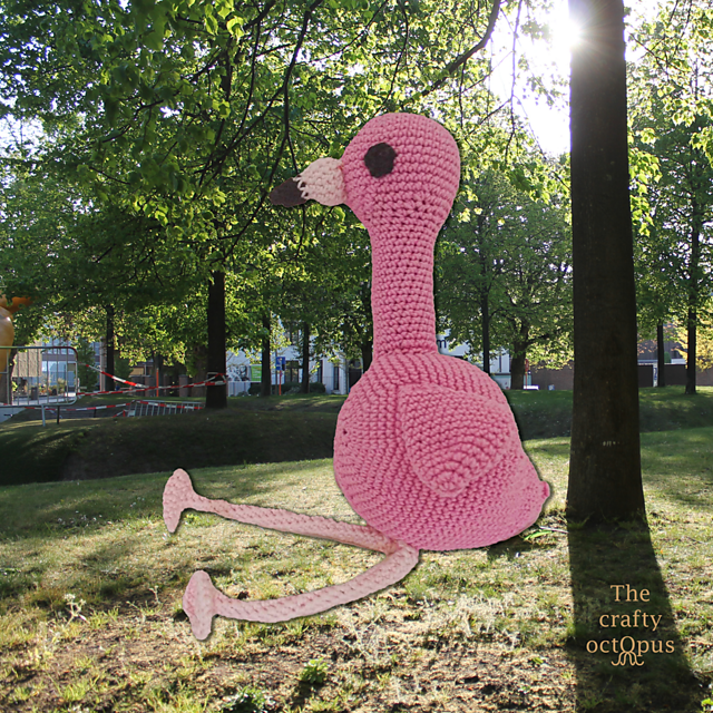 Fred The Flamingo