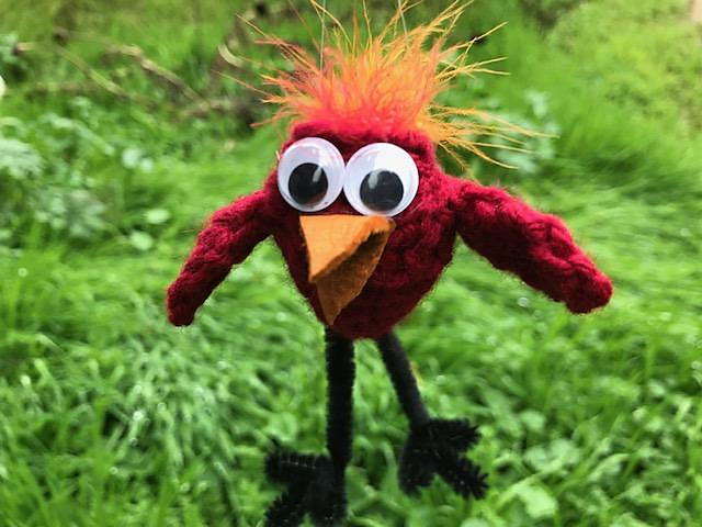 Bird with pocket
