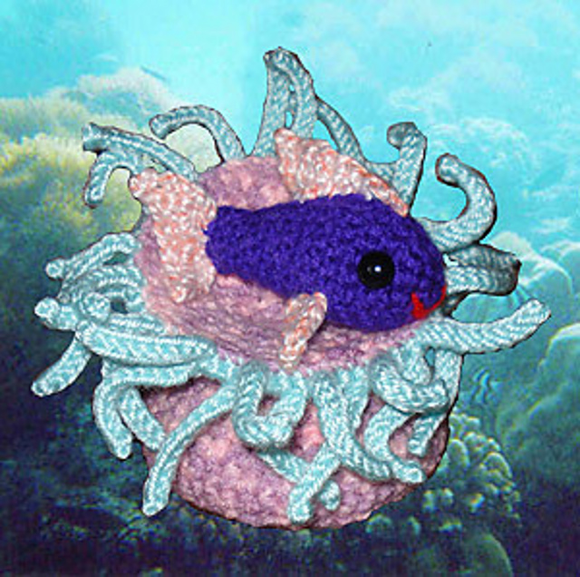 Little Fish in Anemone