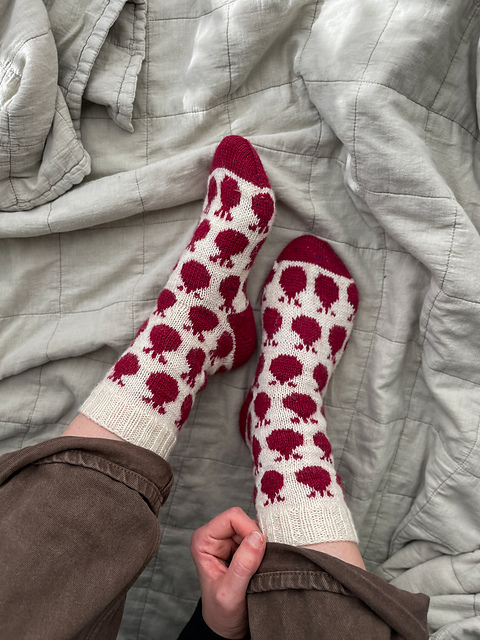 Pomegranate Socks