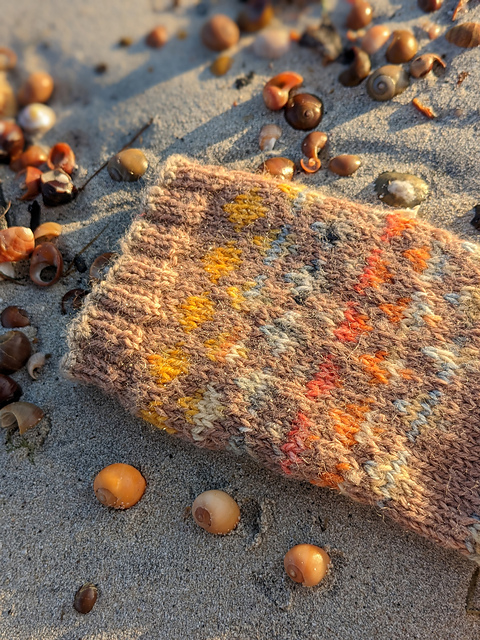 Shell Bay Socks