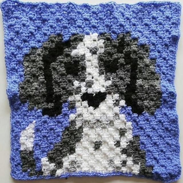 Happy Hounds Black and White Springer Spaniel