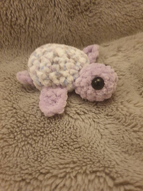 Small fluffy turtle
